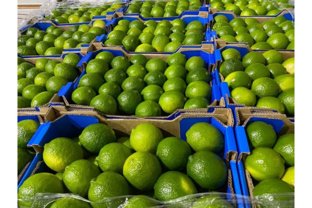 seedless lime packaging