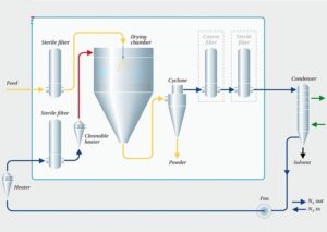 Seedless Lime powder spray drying process