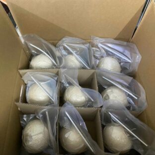 Coconut ball in vacuum pack