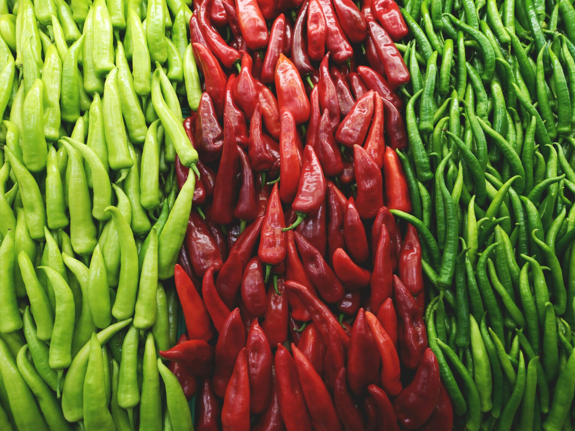 Fresh red chili peppers for Malaysia 