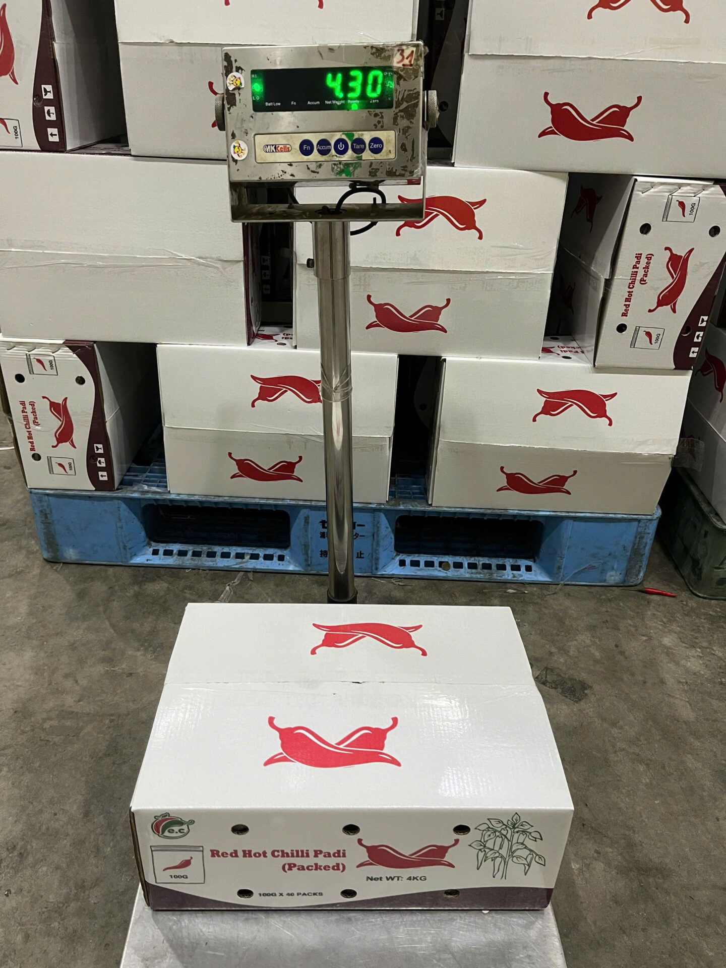 Fresh red chili peppers for Malaysia 