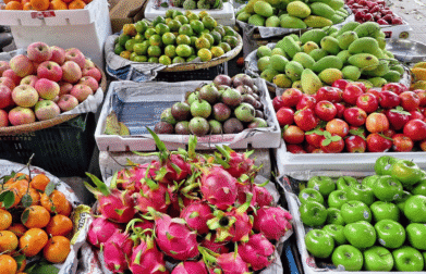 Vietnamese agricultural products supplier