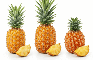 comparing 3 pineapple varieties golden queen MD2