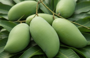 tuong mango