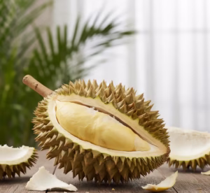 Fresh ripe durian with golden yellow flesh grown in Vietnam