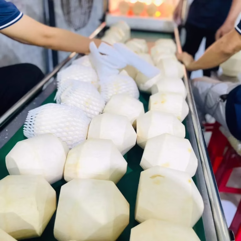 Coconut diamon cut being prepared for export in Vietnam