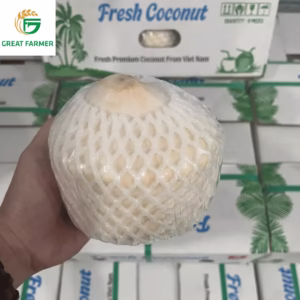 Fresh Coconut Diamond Cut - Premium Vietnam Young Coconut.