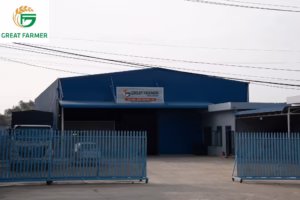 Great Farmer fruit and vegetable processing factory in Vietnam – agricultural export center ensuring global quality.