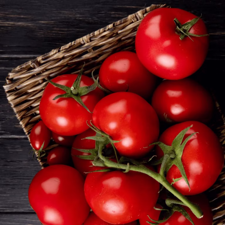 Fresh ripe tomatoes in a wicker basket on a dark background – symbol of quality agricultural products for export.