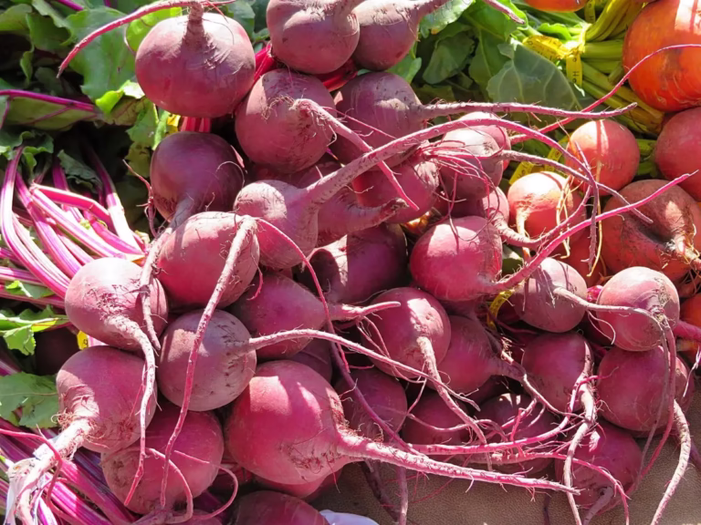 Fresh red beetroot rich in nutrients, supporting heart health and natural body detoxification