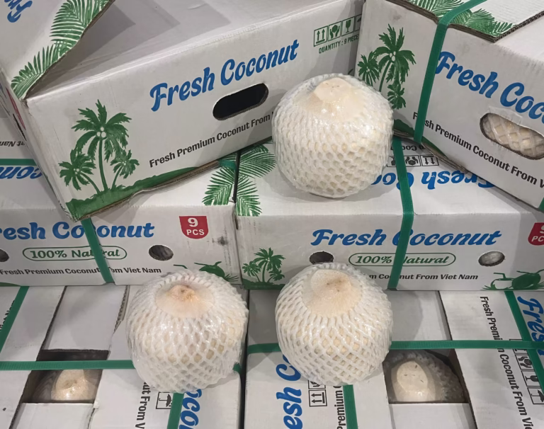 Diamond Coconut premium fresh coconut product for export markets