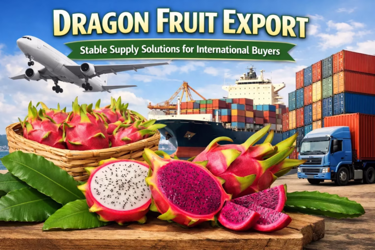 Fresh dragon fruit export with shipping containers and truck ready for international delivery