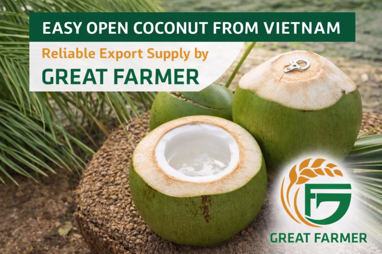 Easy open coconut from Vietnam with Great Farmer logo – reliable export coconut supply