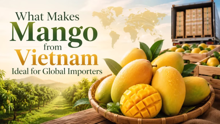 Mango from Vietnam for global importers with fresh ripe fruit, export packaging, and tropical farm scenery.
