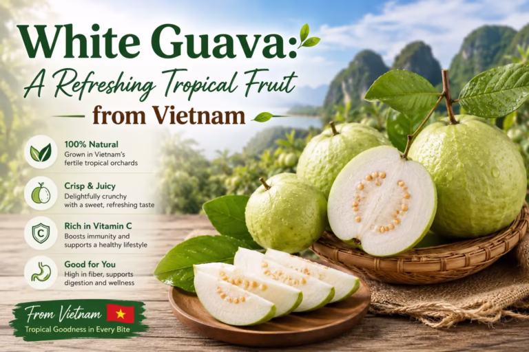 Fresh white guava fruits from Vietnam displayed on a rustic wooden table, highlighting tropical freshness, natural sweetness, and healthy nutrition.