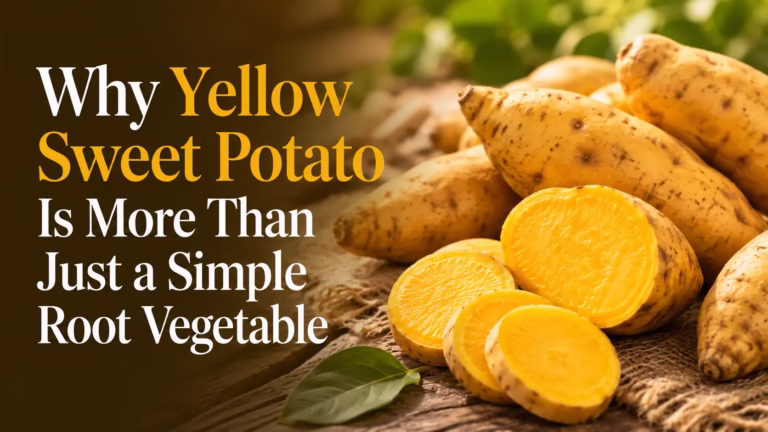 Yellow sweet potato with fresh sliced roots and article title about why yellow sweet potato is more than a simple root vegetable