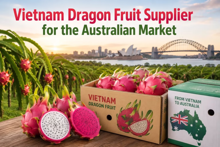 Vietnam dragon fruit supplier exporting fresh red and white dragon fruit from Vietnam to the Australian market with export-standard packaging and premium quality.