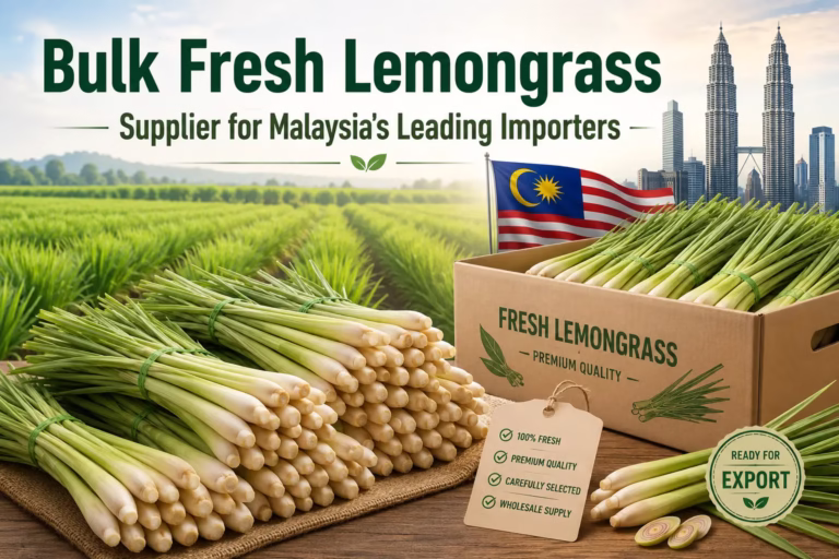 Bulk Fresh Lemongrass Supplier for Malaysia's Leading Importers from Vietnam with premium export-quality fresh lemongrass