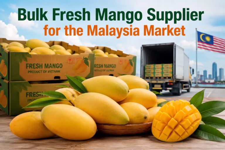 Bulk Fresh Mango Supplier for the Malaysia Market from Vietnam offering premium fresh mangoes for wholesale export to Malaysian importers.