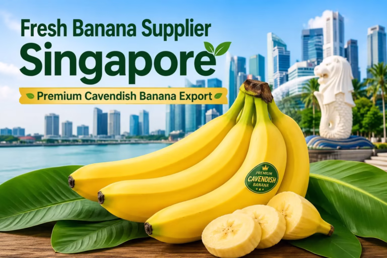 Fresh Banana Supplier Singapore providing premium Cavendish bananas for wholesale, import, retail, and export with consistent quality and reliable supply.