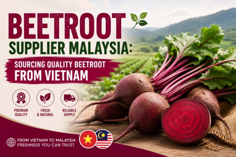 Beetroot Supplier Malaysia sourcing quality beetroot from Vietnam