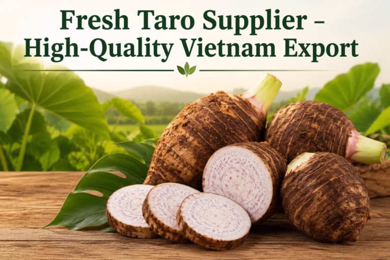 Fresh taro supplier in Vietnam offering high-quality taro roots for export
