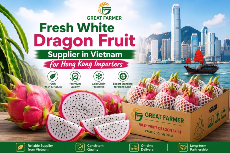 Fresh white dragon fruit supplier in Vietnam for Hong Kong importers