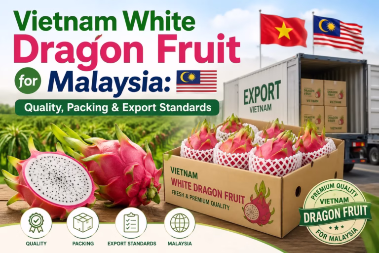 Vietnam white dragon fruit for Malaysia with quality, packing and export standards